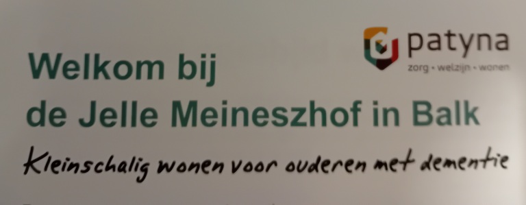 Patyna/ Jelle Meineszhof logo